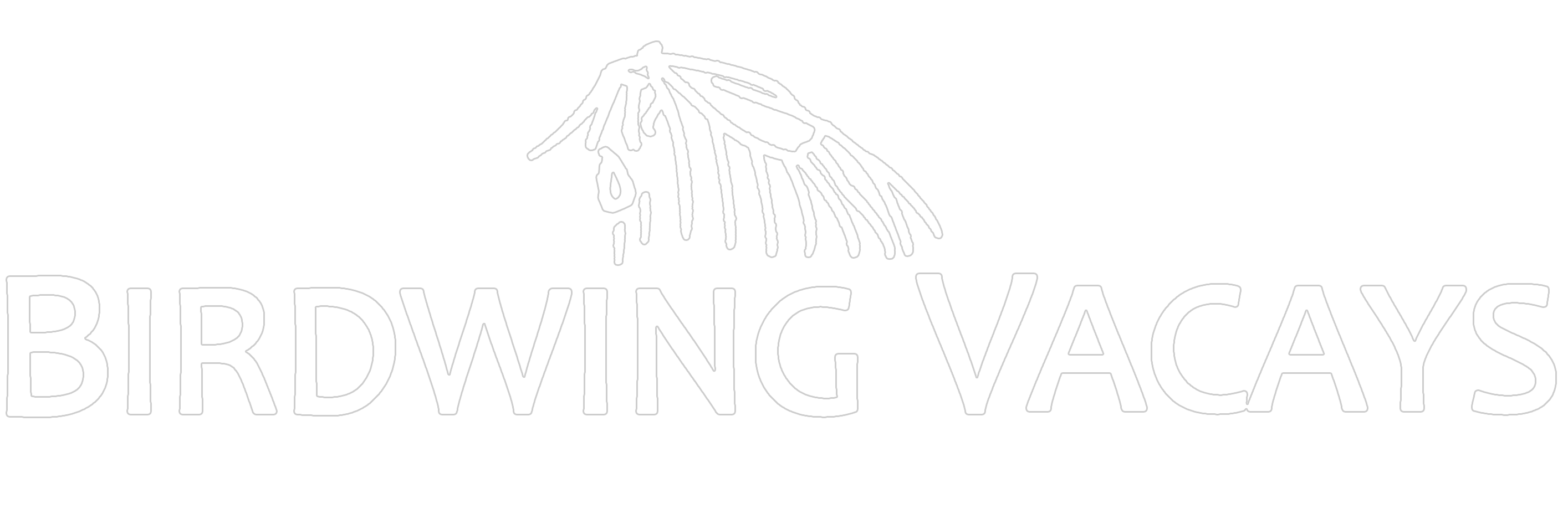 Birdwing Vacays